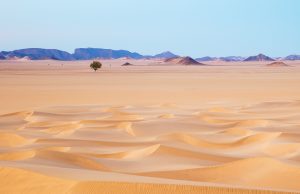 Patrimoine : Les projets de parcs culturels en Algérie.