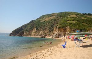 Réouverture des Plages : Renforcement de la sécurité et brigades équestres.