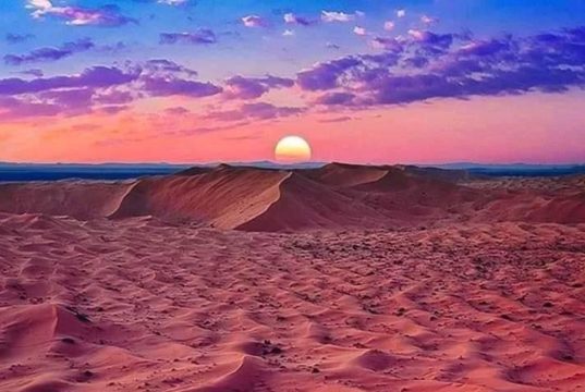 Tourisme saharien : au pays du soleil