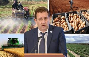 Algérie : Vers une saison record pour la récolte céréalière?