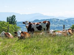 Agriculture : Les Instituts de technologie moyen agricole spécialisés (ITMAS) dépoussièrent leurs programmes.