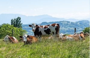 Agriculture : Les Instituts de technologie moyen agricole spécialisés (ITMAS) dépoussièrent leurs programmes.