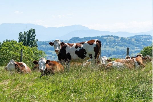 Agriculture : Les Instituts de technologie moyen agricole spécialisés (ITMAS) dépoussièrent leurs programmes.