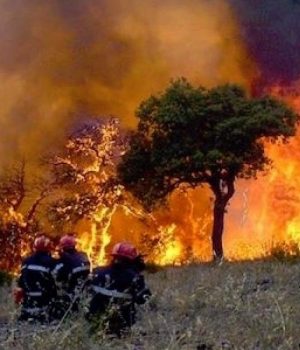 Algérie : Des caravanes de sensibilisation aux feux de forêts sillonnent les provinces de l’Est du pays. La région de Khenchela a connu des incendies de forêt
