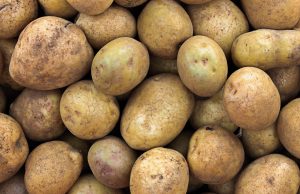 Société : l’Etat va importer 100 000 tonnes de pommes de terre pour contrer l’inflation. L'Algérie des Pommes de terre