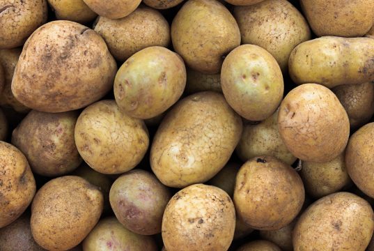 Société : l’Etat va importer 100 000 tonnes de pommes de terre pour contrer l’inflation. L'Algérie des Pommes de terre