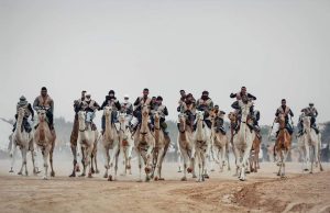 Sports : Tindouf inaugurera cet hiver sa première édition du championnat du Sahel de courses de méharis.