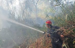 Algérie : La Protection civile indique avoir éteint tous les incendies. La Protection civile algérienne en action pour éteindre les incendies