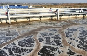 Environnement : 100 millions de m3 d’eaux usées traitées chaque année par la SEAAL. station épuration Alger
