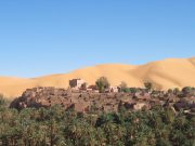 Tourisme : Lancement de l’IA Tour Algérie 2026. Taghit dans la Saoura en Algérie