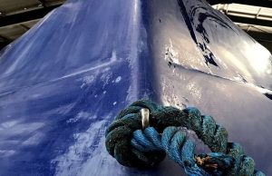 Transports : Fin des appels d’offres internationaux pour les équipements ou bateaux concevables en Algérie. entreprise Ecorep Algérie