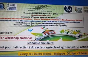 Agriculture : Mise en place d’un Comité scientifique pour le développement de l’économie circulaire. Economie circulaire en Algérie