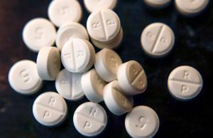 Algérie : La titularisation des enseignants, la prévention en matière de drogue, la lutte contre les criquets au menu du Conseil des ministres. Drogues Algérie