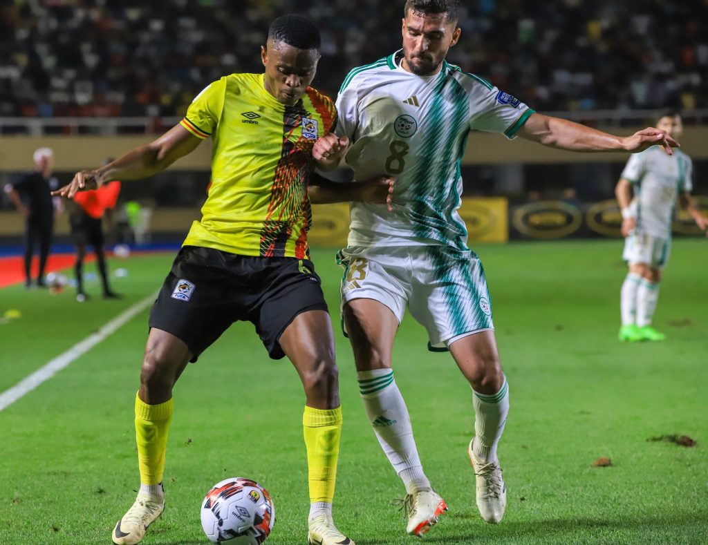 Aouar-Ouganda buteur