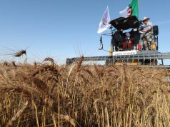 FAO : L’expérience agricole algérienne exposée à Nouakchott.