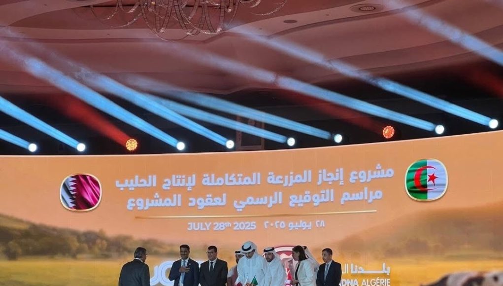 Premiere-Phase-projet-Baladna-Algerie