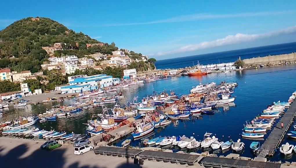 port-plaisisance-pêche-Algerie-dzairworld.com port-plaisisance-pêche-Algerie