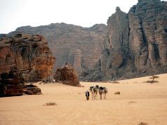 Tourisme : La province d’Illizi a attiré près de 20 000 touristes. Tassili_Desert_Algeria